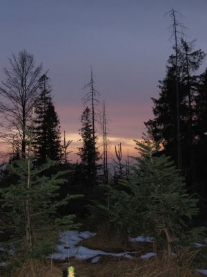 ostatnie zdjecie